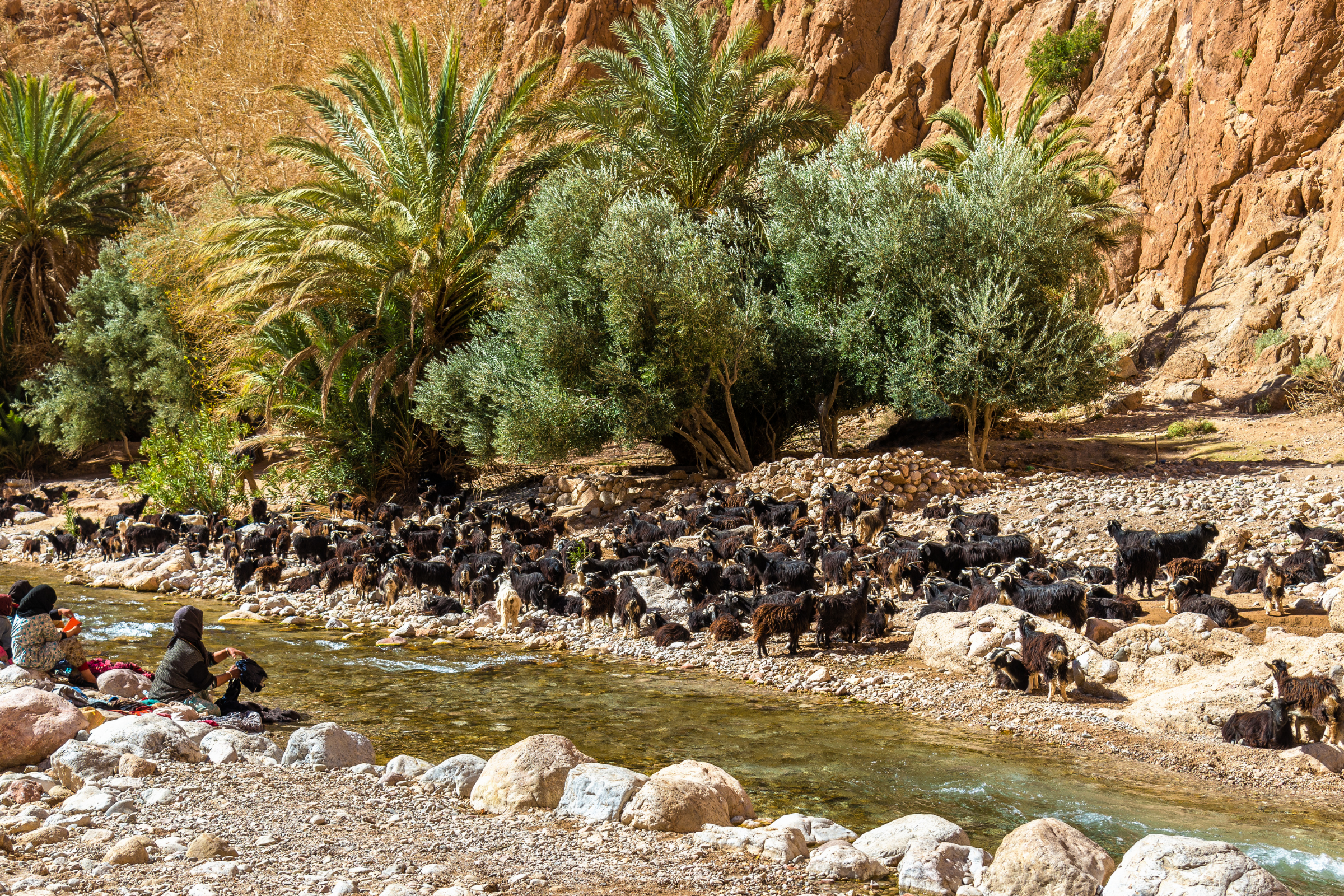 todra river (2).webp